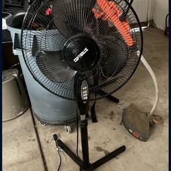 fan