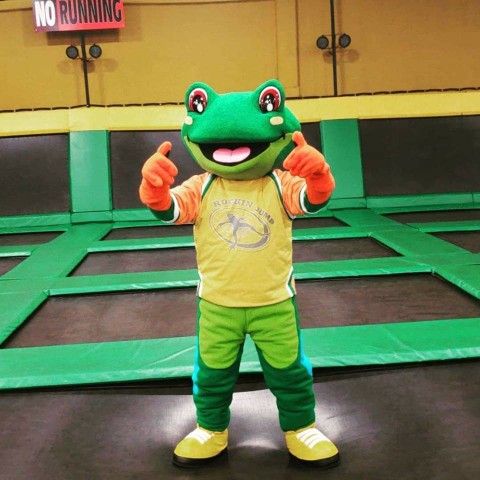 Rockin Jump Frog