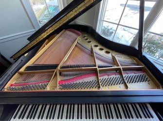 Free Steinway Model M Grand Piano
