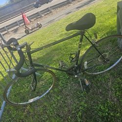 Saintropez Vanguard  Old School 28 Inch  Save Gas Old Good Vaual Soon Gone Obo Ready To Fly