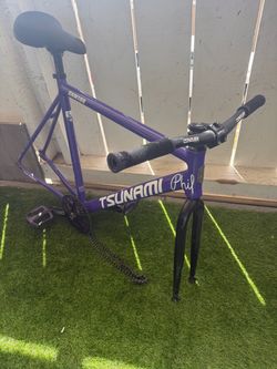 Tsunami fixie