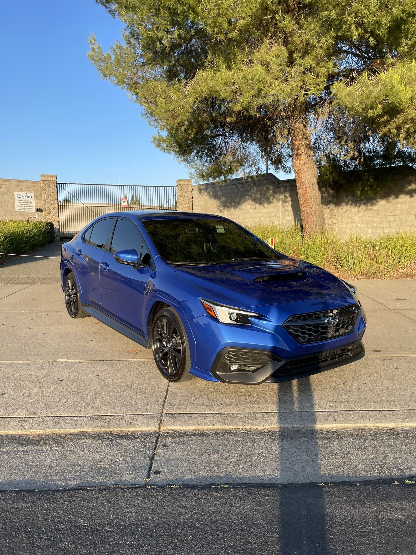 2022 Subaru WRX