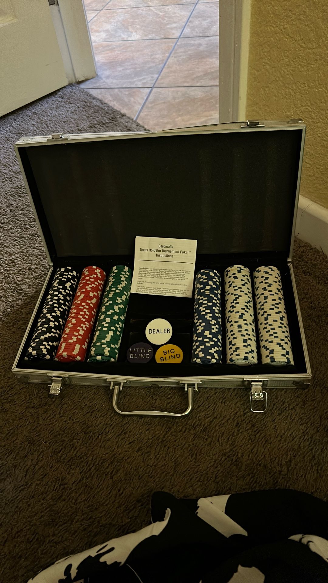 POCKAR GAME CHIPS WITH THE CASE