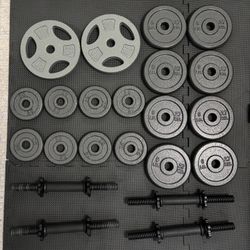 Weight Plates Set 88 Pounds $100