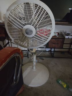 Fan