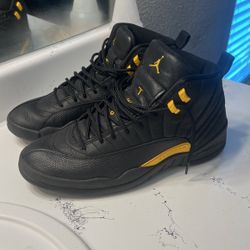 Air jordan 12’s