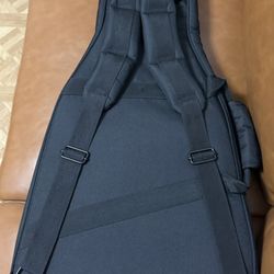 Guitar case