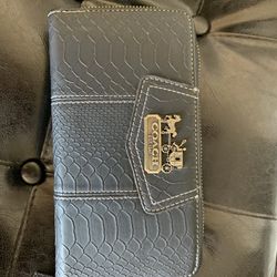 Wallet Coach