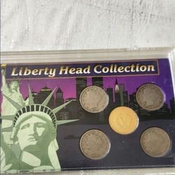 Liberty Head Collectors Coin Set 