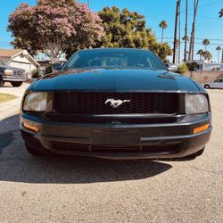 2005 Ford Mustang