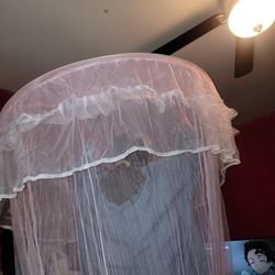 Pink Bed Canopy 