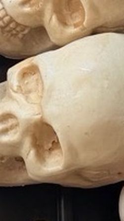 Halloween Skull Prop Medium