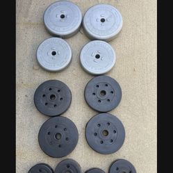 Weight Plates.         25 Dollars 