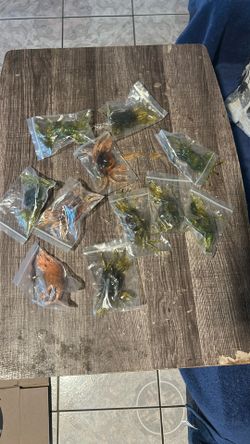 Crabs With Hooks In Them