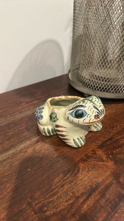 frog plant pot