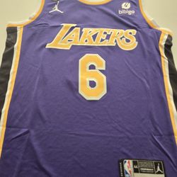 NBA Lakers LeBron James jersey number 6