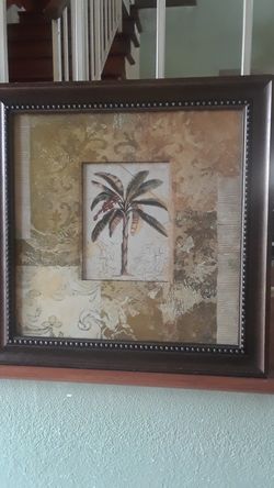 Cuadro palmera 6 dlls