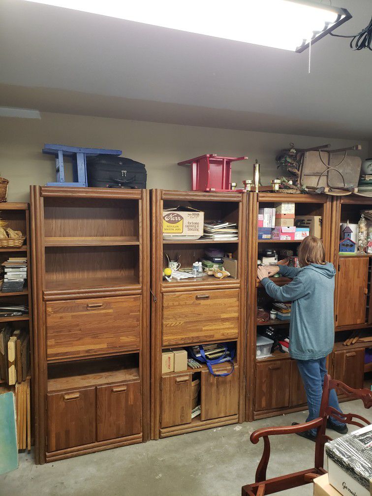 Storage Cabinet Shelves Garage 