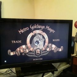 Sony TV 40 Inch $50 No Remote 