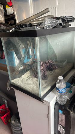 20 Gallon Fish Tank