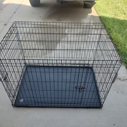 Large Dog Cage