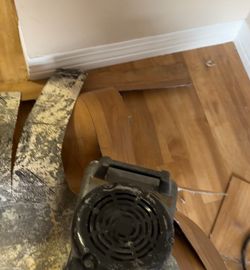 Glue down Flooring