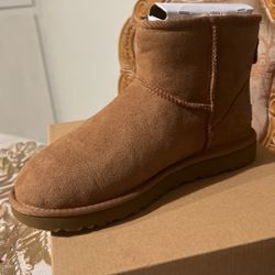 CLASSIC MINI II UGGS