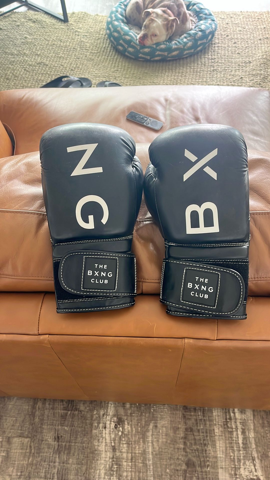 Never Used Boxing Gloves