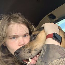 Dog Boarding