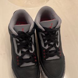 Jordan 3 Cleats Size 12