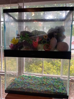5 gallon tanks with supplies