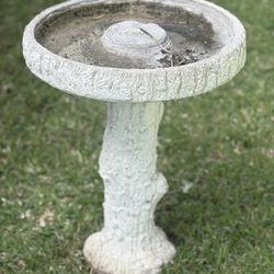 Bird Bath 