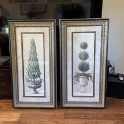 Pictures, Topiary,