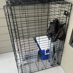 Large Dog Crate 