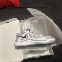 kd 17 “team gray”