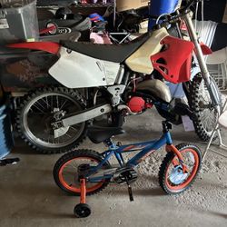 Bike Ride And Run Need Gone ASAP
