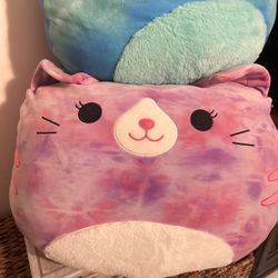  Cat Squishmallow 