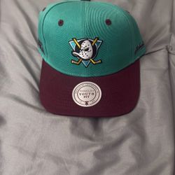 Mighty Ducks of Anaheim 93-94 Season