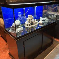 75 Gal Fish Tank 48 X18 X24