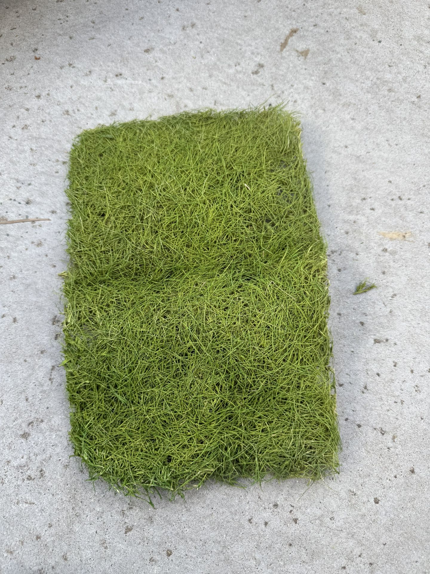 Dried Moss/ Decorative Dried Turf