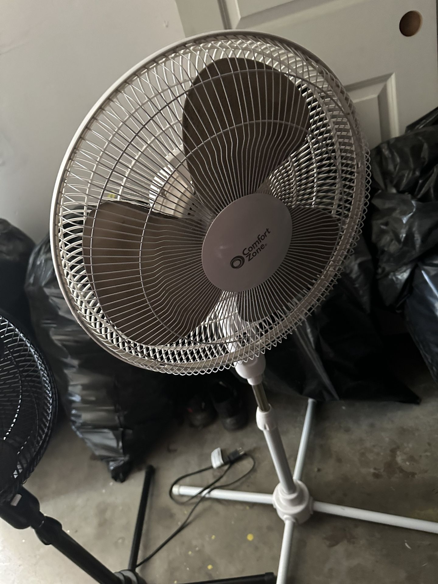 Fan