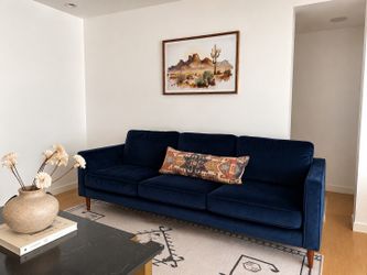 Blue velvet couch