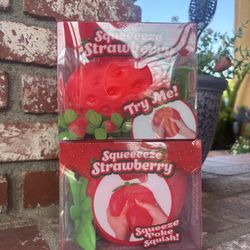 Strawberry Squishy