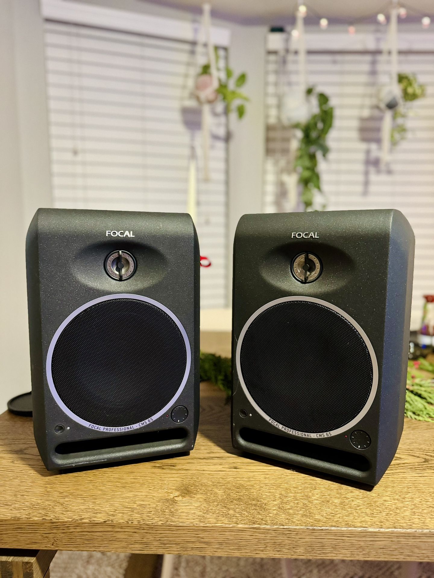 Focal CMS 65 Studio Monitors