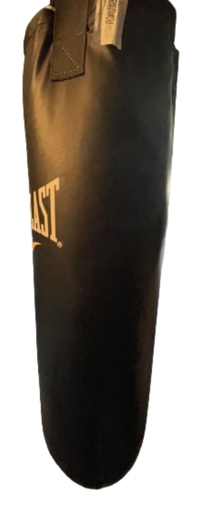 Everlast Punching Bag