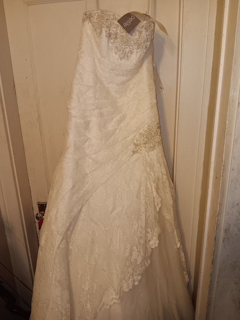 Gorgeous  Wedding Gown  New In Box Tags Still Attached