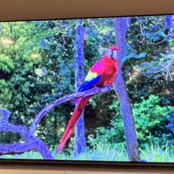 Samsung Pro Tv 75inch Display