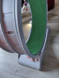 Cat treadmill