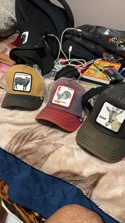 Animal hats