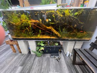 210gal acrylic